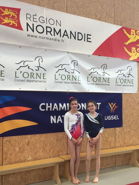 Bravo les gymnastes !